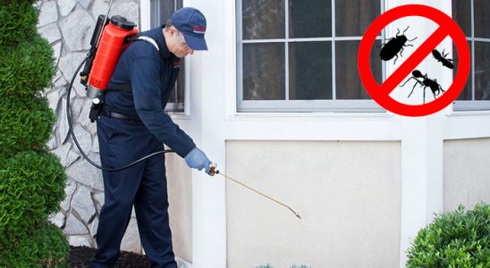 Kelkit Kemirgen İlaçlama böcek ilaçlama ve haşere kontrolü — ilaclama-tr.com